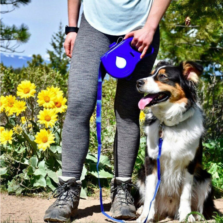 Elevate Your Walks with Our Multifunctional Pet Leash