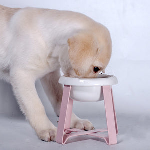 Transform Mealtime for Your Furry Friends