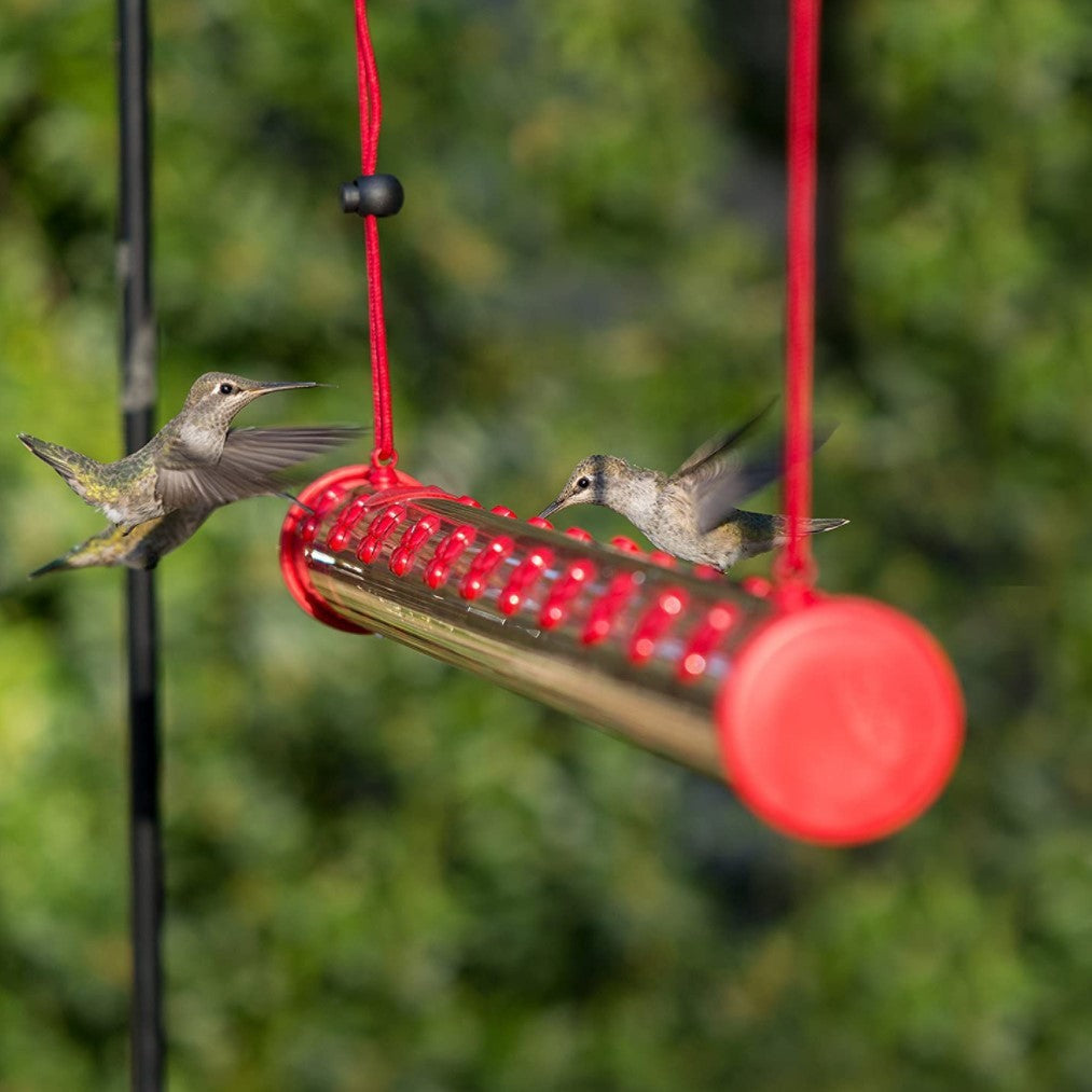 Enhance Your Garden with Our Hummingbird Feeder