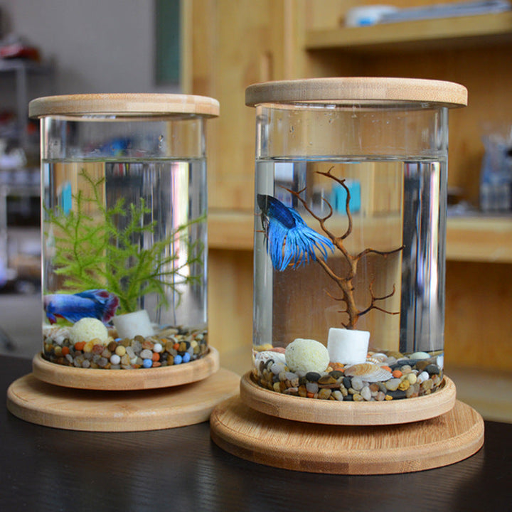Transform Your Workspace with the Small Office Glass Aquarium
