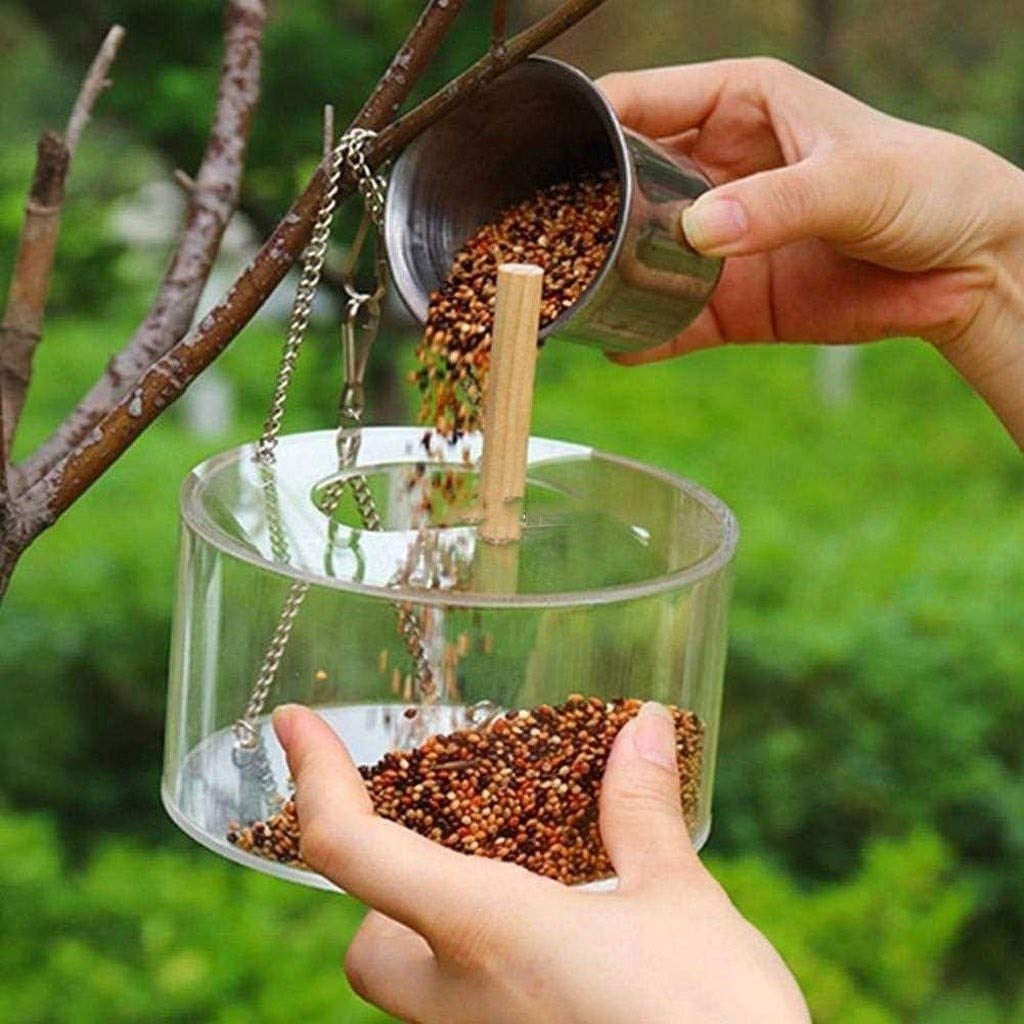 Enhance Your Bird's Dining Experience with Our Acrylic Bird Food Box