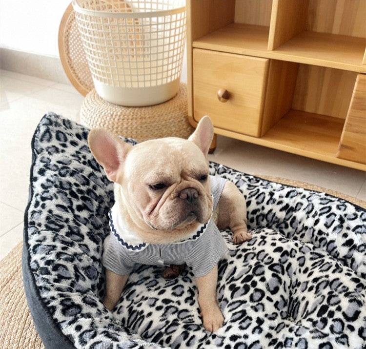 The Comfort Your Dog Deserves