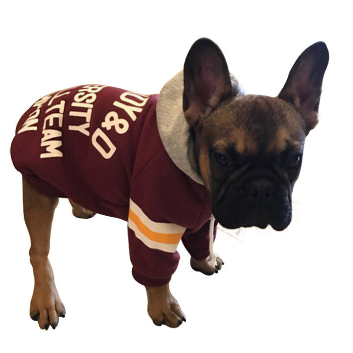 Pet Sweater: Style Meets Comfort for Your Furry Friend