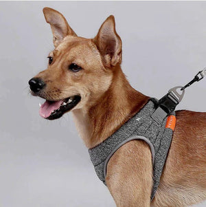 Why Your Dog Deserves a Stylish and Durable Rope Collar