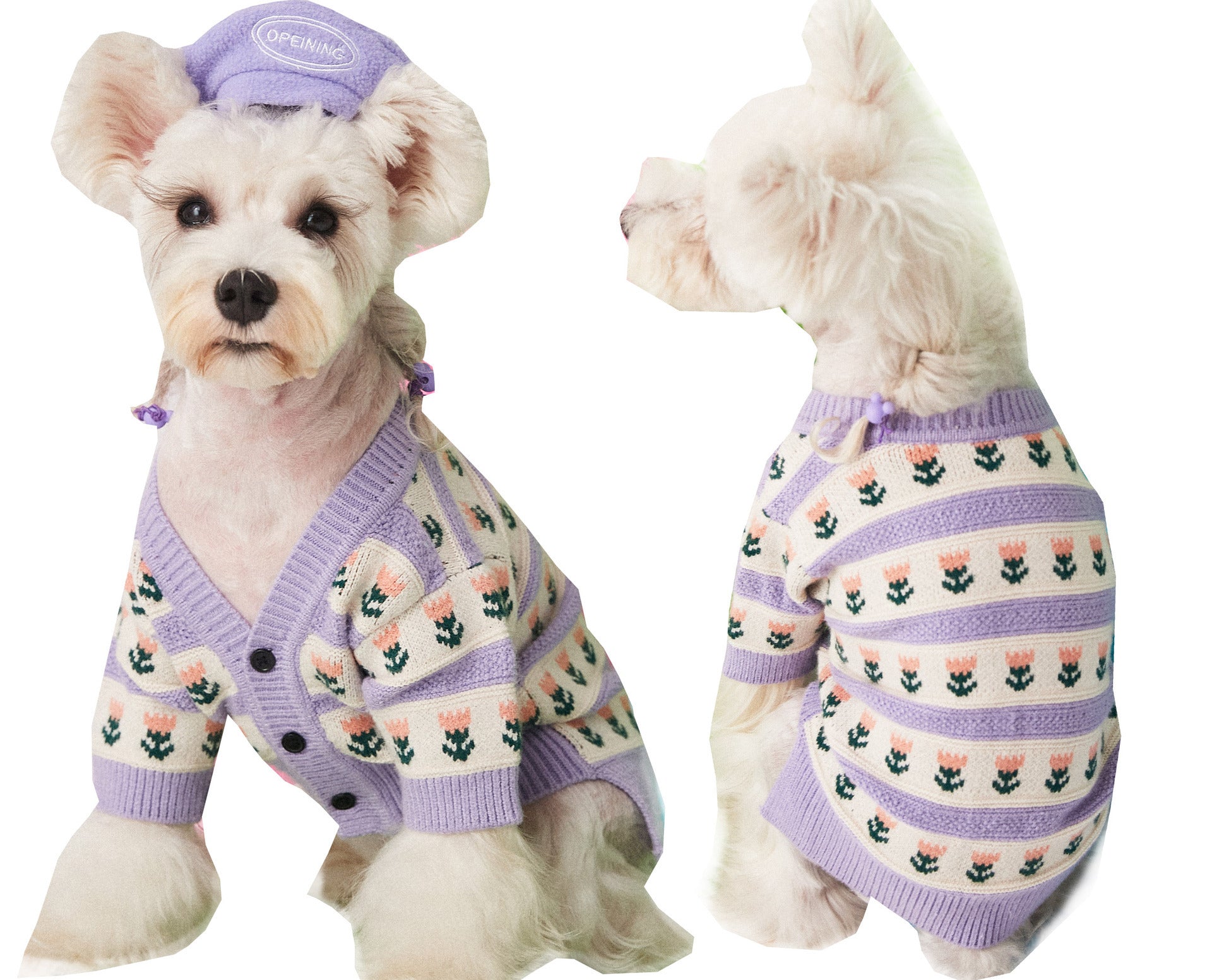 Add a Touch of Elegance to Your Dog's Wardrobe