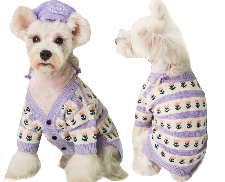 Add a Touch of Elegance to Your Dog's Wardrobe