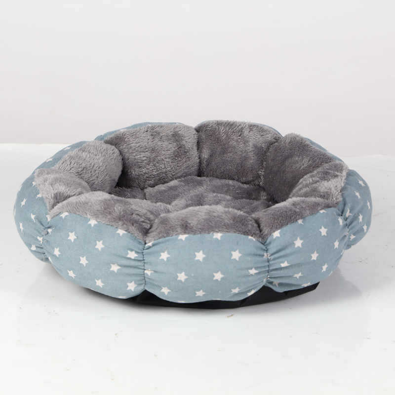 The Ultimate Comfort for Your Indoor Cat