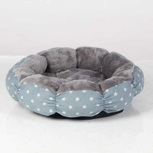 The Ultimate Comfort for Your Indoor Cat