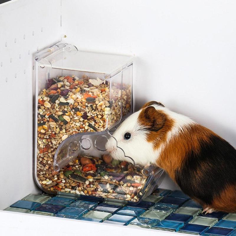 The Ultimate Hamster Feeder Food Box