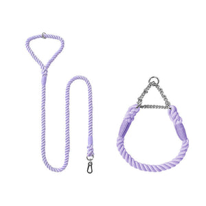 Discover the Perfect Companion for Your Dog's Adventures