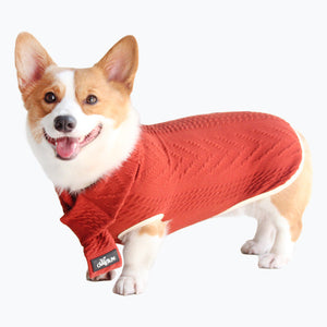 Elevate Your Dog's Wardrobe with the Vintage Twist Pet Sweater