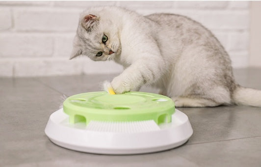Electric funny cat tray toy