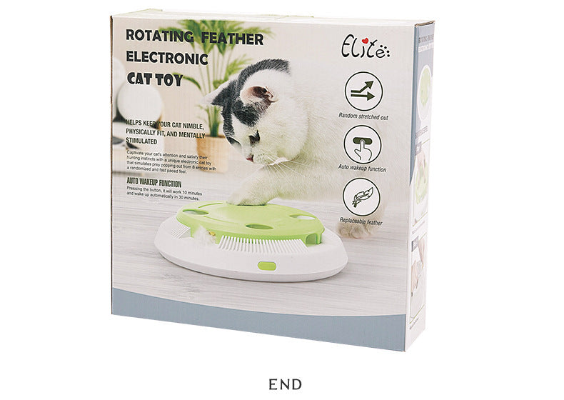 Electric funny cat tray toy