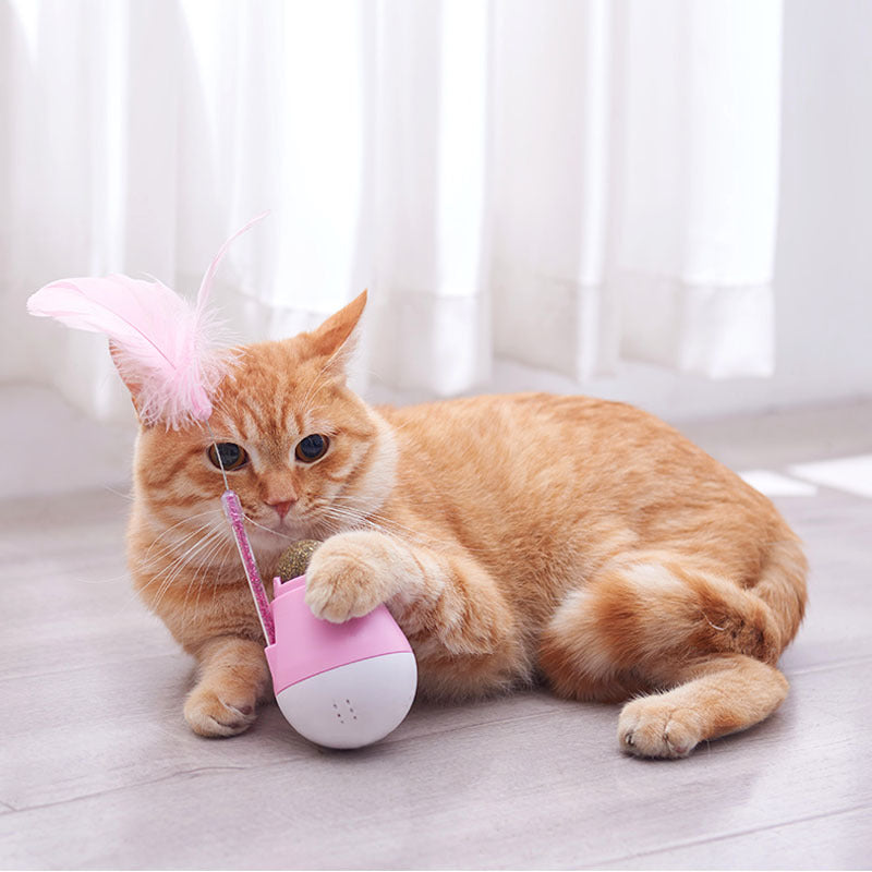 Tumbler funny cat toy