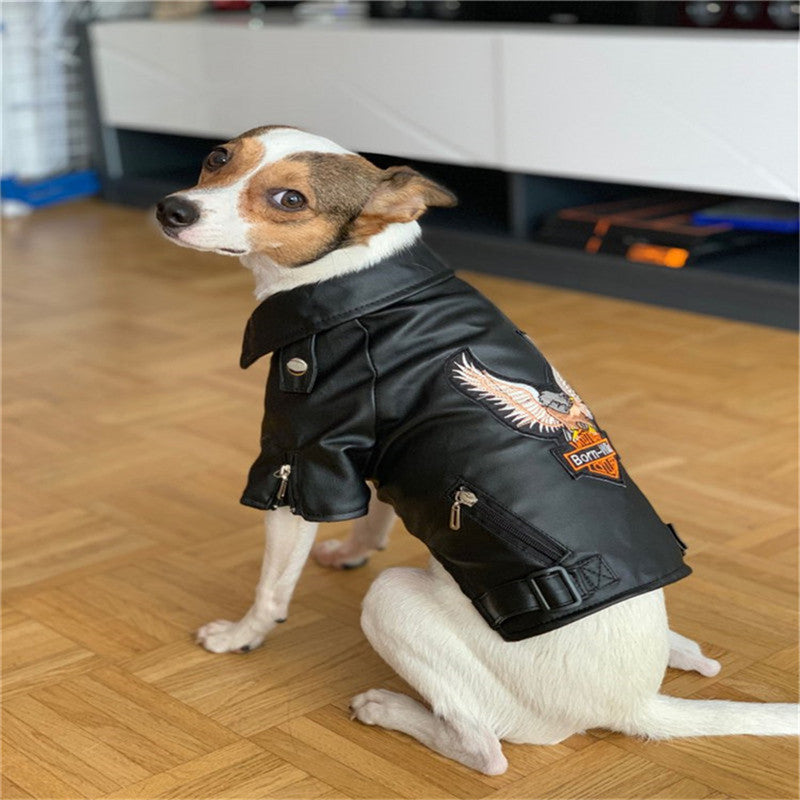 Dog Sticker Embroidered Eagle Leather Jacket