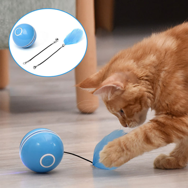 Colorful LED laser funny cat ball