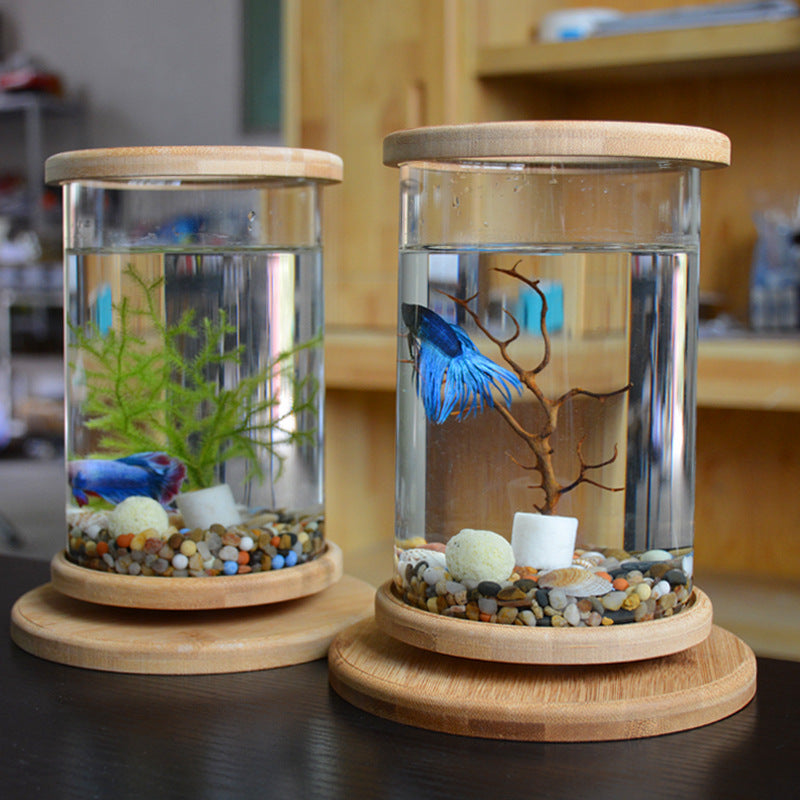 Small Office Glass Aquarium Bamboo Base