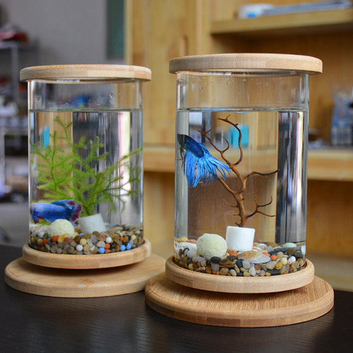 Small Office Glass Aquarium Bamboo Base