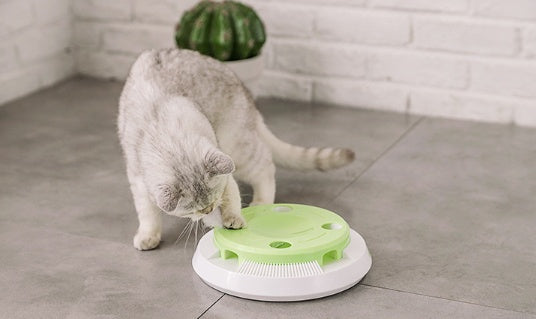 Electric funny cat tray toy