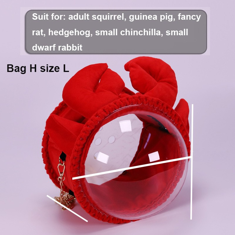 Hamster Cage Pet Out Of Bag Honey