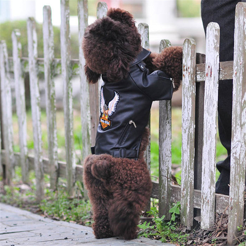Dog Sticker Embroidered Eagle Leather Jacket