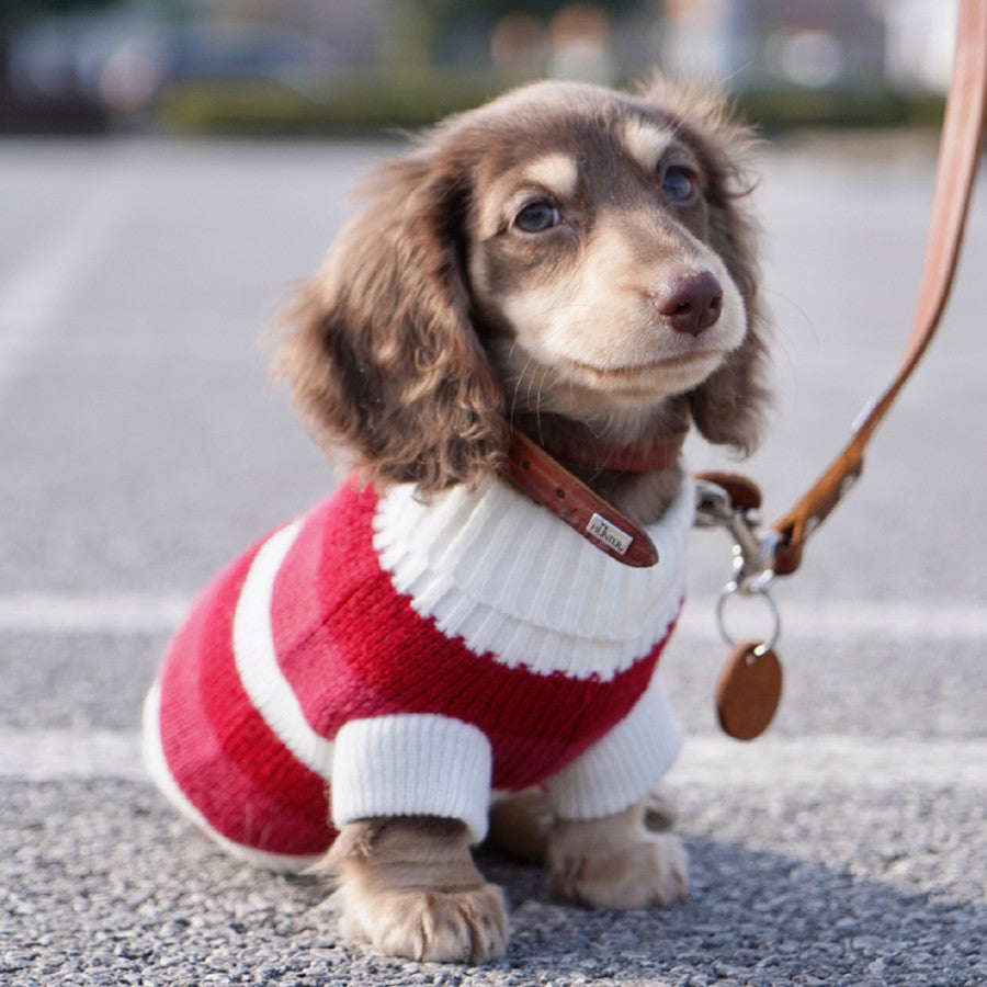 Sausage Dog Clothes Small Dog