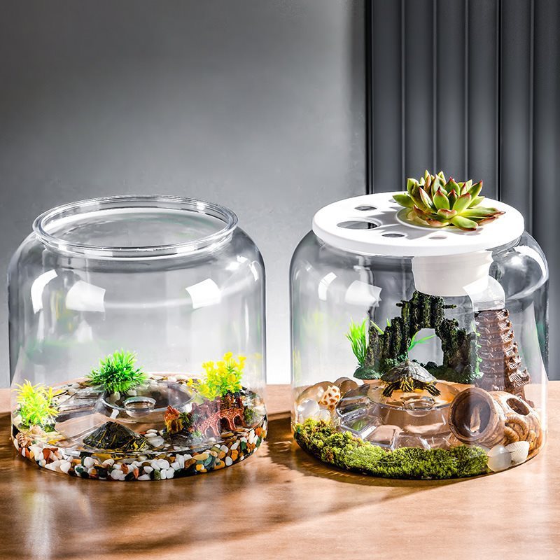 Transparent Desktop Landscaping Feeding Fish Tank