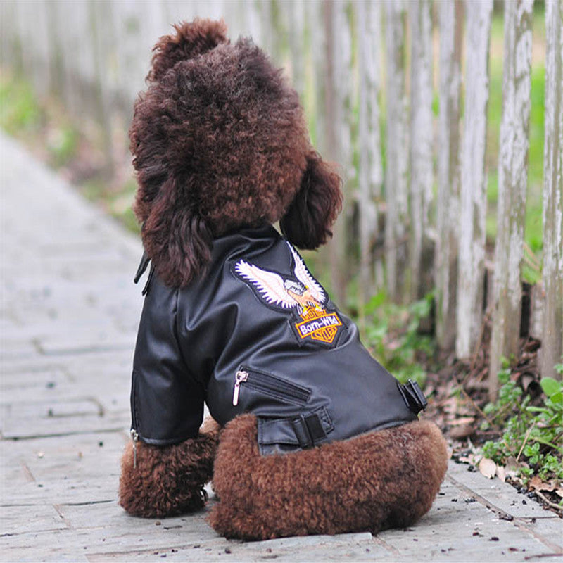 Dog Sticker Embroidered Eagle Leather Jacket