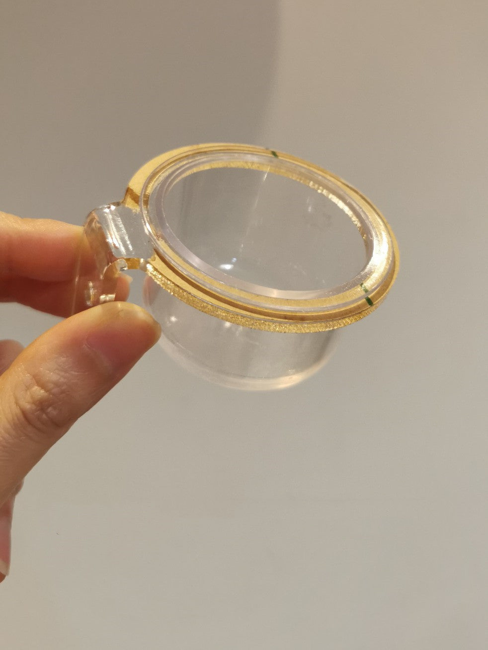 Full Transparent Bird Cage Log Acrylic Parrot