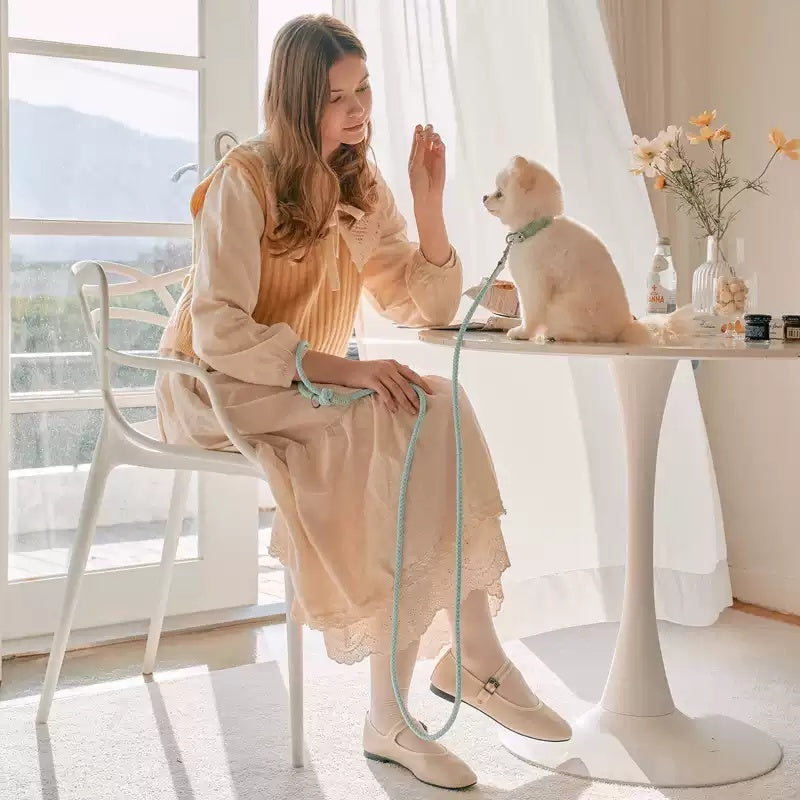 Dog Collar Leather Hand Holding Rope