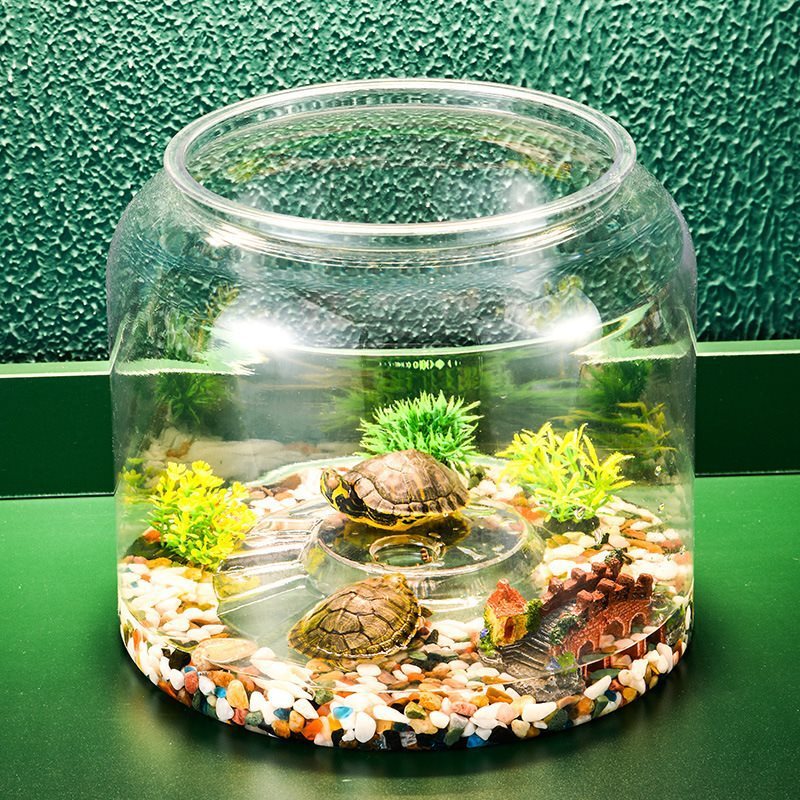 Transparent Desktop Landscaping Feeding Fish Tank