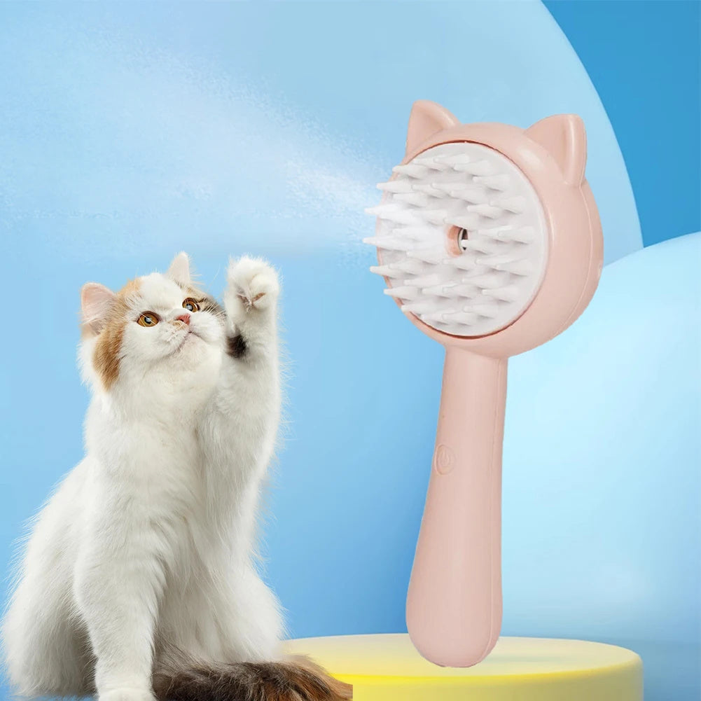 Hair Cleaning Brush With Mist Multifunctional