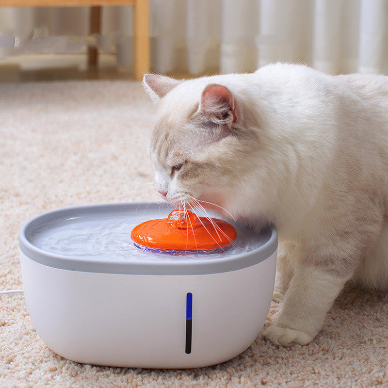 Intelligent Pet Visual Automatic Water Dispenser