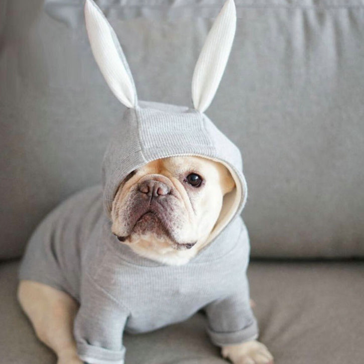 Small dog knitted sweater rabbit ears costume