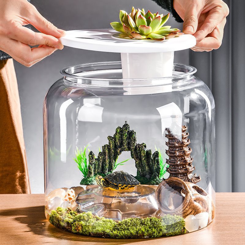 Transparent Desktop Landscaping Feeding Fish Tank
